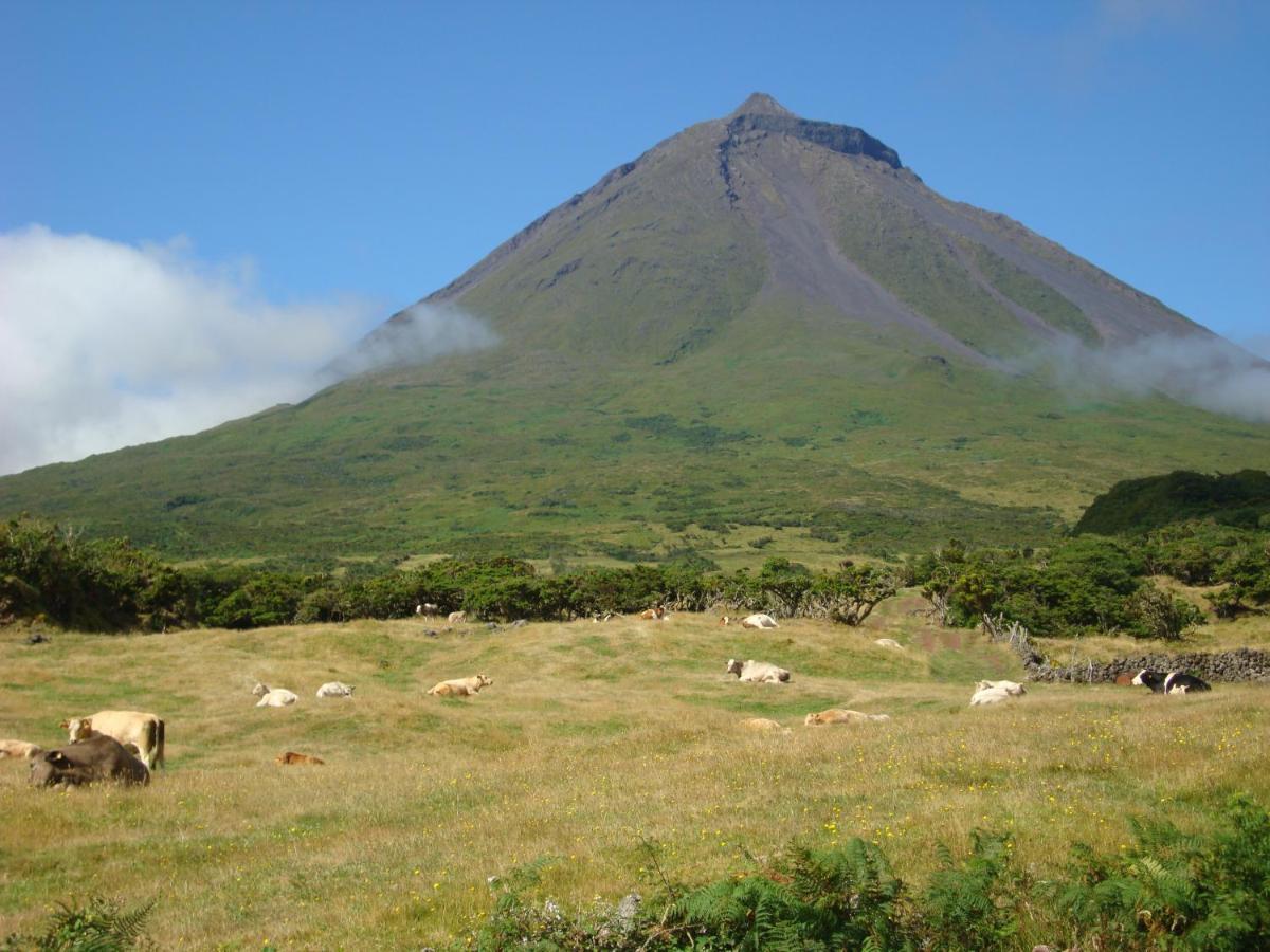 فندق Casa Da Bicuda Ribeiras المظهر الخارجي الصورة